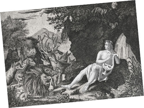 A person playing the harp in a forest while several animals watch.